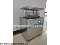 DX-ZFJ 迪新不锈钢煮沸机