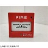 原装进口THORN SECURITY模块