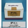 免疫沉淀IP试剂盒