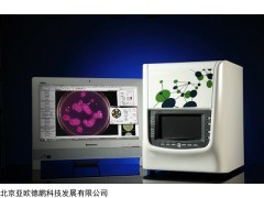 DP-G6T 抑菌圈测量菌落计数分析仪