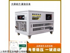 電站10千瓦靜音汽油發(fā)電機(jī)標(biāo)準(zhǔn)