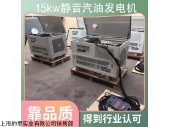 消防物資采購(gòu)10kw單相汽油發(fā)電機(jī)技術(shù)