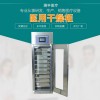 RP-300 醫(yī)用干燥柜RP-300