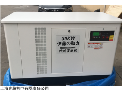 YT20REP 限电应急20KW汽油发电机型号