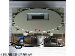 HAD-300EX 在线防式露点仪