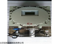 DP-300EX 在线防爆式露点仪