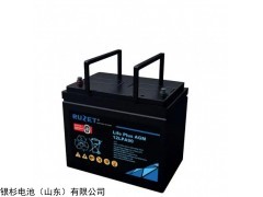 12LPA65 RUZET法国路盛蓄电池
