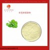 LPSW032 積雪草苷提取物