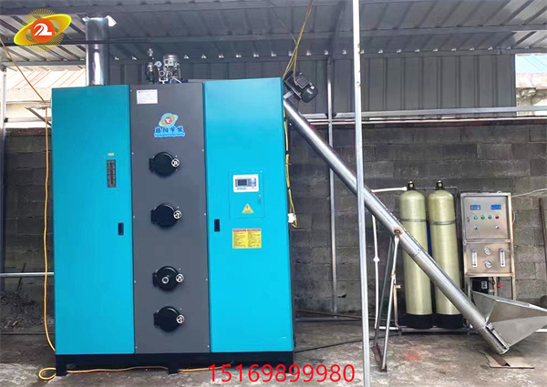 电热蒸汽发生器