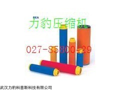 LGFD-3/10-X 92199910C濾芯  LGFD-3/10-X油分