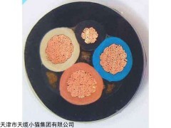YC橡套软电缆YC重型橡套电缆河北厂家