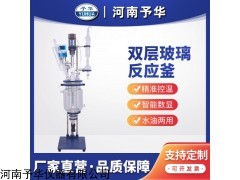 YSF-1L 雙層玻璃反應釜小型攪拌高溫實驗室蒸餾電加熱