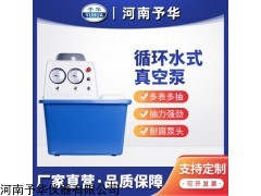 SHZ-DIII防腐双表双抽 循环水真空泵