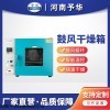 DHG-9030A  电热恒温鼓风干燥箱 工业烘干机