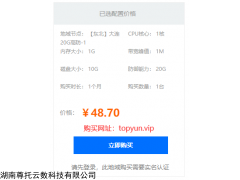 1核1G TOP云大連云服務器租用 1核1G1M配置僅48元每月