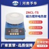 ZNCL-TS-50ml 恒温磁力搅拌电热套