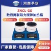 ZNCL-GS(两联)130*60mm 智能数显多联磁力加热锅