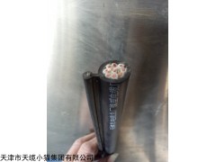 QXFW-J加强型行车橡套电缆选购价格