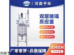 YSF-10L 雙層玻璃反應釜不銹鋼攪拌高溫實驗室蒸餾電加熱