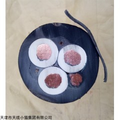厂家直销YC重型橡套电缆报价