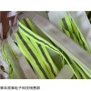齊全 50mm單體支柱防倒帶生產廠家 24小時輪班趕制發貨迅速
