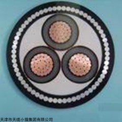 YJV22 高压铠装电力电缆