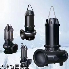QW 天津智匠河道清淤潛水排污泵