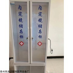 DX-YC-I/II 有機內鏡儲存柜雙門柜單門柜軟式內鏡清洗儲存