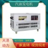 方便携带12kw静音汽油发电机