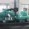 养殖场应急华力800KW康明斯发电机组    