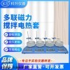 TWCL-DL-T两联50ml 调温多联磁力搅拌电热套