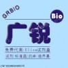 牛血清淀粉样蛋白A实验(SAA)ELISA样本