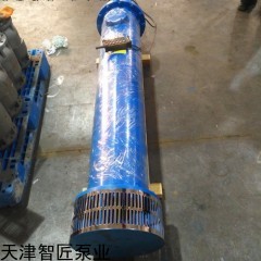 250QJW140-460/20下吸式潛水泵