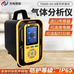 手提式三氟化氮分析仪TD600-SH-B-NF3泵吸式采样