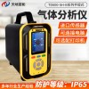 手提式锗烷分析仪TD600-SH-B-GeH4天地首和