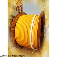 MCPT电缆MCPT矿用高压采煤机电缆供货商