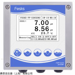 FSPD 5520 英國(guó)費(fèi)思克 水質(zhì)雙通道PH/ORP分析儀