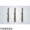 200QJ20-600/30不锈钢深井潜水泵