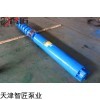 300QJR400-140/5温泉井用热水泵
