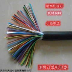 DJFPVP 计算机屏蔽电缆