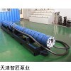宁波智匠牌变频雪橇式卧用多级泵