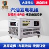发电机大泽动力TOTO20 电动25L 20000W双电压220V/380V