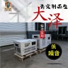 发电机大泽动力TOTO12 电动25L 12000W竞标用
