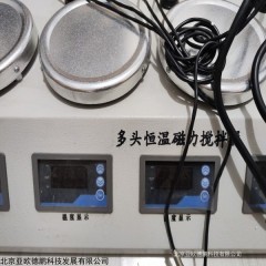 DP-J4A 恒温磁力加热搅拌器