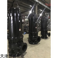 上海智匠牌無堵塞自動攪勻排污泵