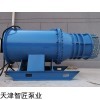 河北智匠牌耐磨大流量下吸式混流泵