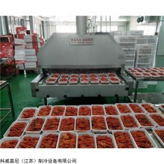 科威嘉尼液氮速冻机锁鲜对虾螺丝虾螃蟹梭子蟹