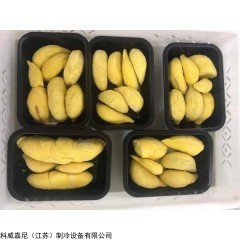 液氮速冻机瞬间锁鲜榴莲草莓水果蔬菜