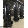 松原智匠牌應(yīng)急排水大流量排污泵