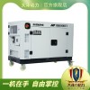 老河口大泽动力TO42000ET 电动 50L 40kw